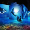 Fabrique des Lumières: The Sea