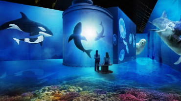 Fabrique des Lumières: The Sea