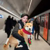 GVB Amsterdam: Public Transport by Tram, Bus, and Metro
