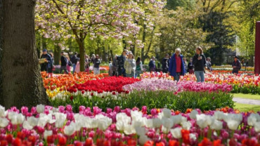 Keukenhof Gardens with transport
