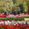 Keukenhof Gardens with transport