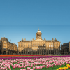 Royal Palace Amsterdam (Koninklijk Paleis): Entry Ticket